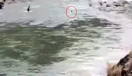 Bingöl’de çay sularına kapılan adamın son anları kamerada