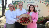 Osmancalı çileği sezonu şenlik havasında açıldı