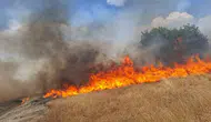 Diyarbakır'da beş ilçeden aynı anda dumanlar yükseldi