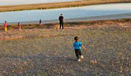 Adilcevazda doğa yeniden canlanıyor