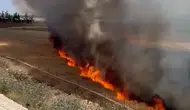 Suruç'ta bir kıvılcım çiftçinin 30 dönümlük emeğini yaktı