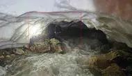 Hakkari’de kar mağarasına düşen tosunu ekipler saatler süren çalışmayla çıkardı