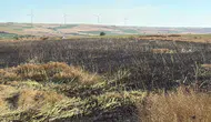 Tekirdağ'da hasat öncesi büyük yangın korkusu
