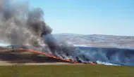 Tekirdağ'da tarlaları küle çeviren yangın kontrol altına alındı