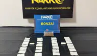 Ordu narkotik ekiplerinden zehir tacirlerine haftalık operasyon