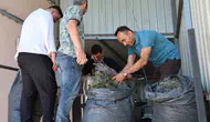 Düzceli kadınlar lavantadan yüksek gelir elde edecek