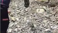 Osmaniyeli ailenin yatak odasında korkutan yılan paniği