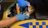Düzce polisi taksiye yapılan uyuşturucu sevkiyatını durdurdu