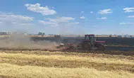 Mardin’de hasat öncesi büyük kayıp