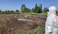 Çorum sokaklarında sinek istilasına karşı belediye mesaisi başladı