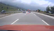 İskenderun otoyolunda angus paniği