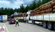 Sinop yollarında orman kaçakçılığına geçit yok
