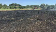 Kuşun elektrik akımına kapılması Muğla’da yangın çıkardı