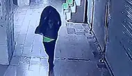 Kırıkkale'de çöp poşetli kundakçı kameraya yakalandı