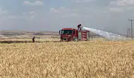 Mardin'de hasat zamanı 300 dönüm tarla küle döndü