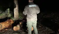 Sinop ormanlarında 24 saat teyakkuz dönemi