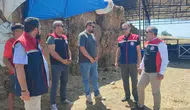 Aydınlı üreticiye devletten 30 düvelik hayvancılık desteği