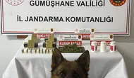 Gümüşhane'deki köy evine narkotik baskını