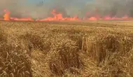 Tekirdağ'da bir izmarit bir yıllık emeği küle çevirdi