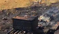 Bingöl'de arıcıyı üzen saldırı