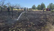 İzmir'de iki orman yangınına sebep olan şüpheliler yakalandı