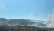Fethiye ormanlarında rüzgar yangını yeniden tetikledi