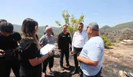 Fethiye yangınında hasar tespit süreci başladı