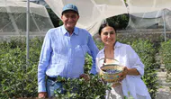 Beyaz yakayı bırakıp Urla’da çiftçi oldular