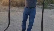 Malatya’da yılanlarla arkadaşlık kuran adam şaşırttı