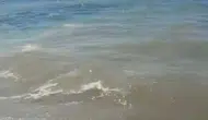 Bodrum denizinde sintine skandalı Savcılık geniş çaplı soruşturma başlattı