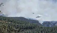 Balıkesir Susurluk’ta orman yangını paniği