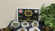 Sorgun’da uyuşturucu operasyonu Bir kişi cezaevine gönderildi