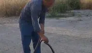 Malatyalı muhtar evlere giren yılanları eliyle yakalıyor