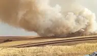 Mazıdağı tarlalarında yükselen alevlere karşı seferberlik başladı