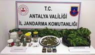 Manavgat operasyonunda uyuşturucu ticareti yapan iki kişi tutuklandı