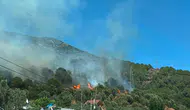 Yalova Armutlu sahilinde orman yangını paniği
