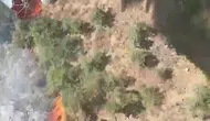 Balıkesir Gömeç'te orman yangını paniği