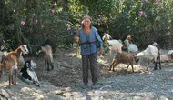Muğla’da 90 yaşında bir kadın her gün sürüsüyle meraya çıkıyor