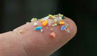 Plastiklerin iç organlardaki gizli rotası artık lazerle izleniyor