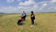 Kars’ta dolu ve fırtına tarlaları vurdu