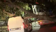 Sancaktepe'de fırtına ağacı devirdi aracın tavanını çökertti