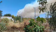 Balıkesir Gömeç ormanlarında alevler rüzgarla büyüyor