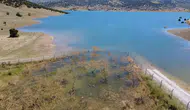 Yozgat'ta yükselen baraj suları çiftçinin emeğini yuttu