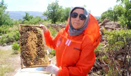 Kanserle savaşan Zehra Kocabaş şifayı arı kovanlarında buldu