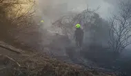 Burhaniye’de dere kenarındaki yangın korkuttu