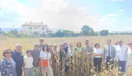 Kuşadalı kadınlar Isparta yolunda haşhaş hasadına katıldı