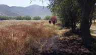 Bucak'ta beş dönümlük tarla kül olmaktan son anda kurtuldu