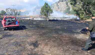 Bilecik'te elektrik direği yüzünden üç dönümlük arazi yandı