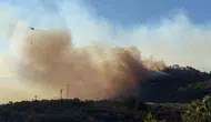 Çanakkale ormanlarındaki yangın kabusu sona erdi