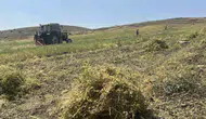 Yozgat çiftçisi bu yıl mercimekte yüksek verim bekliyor